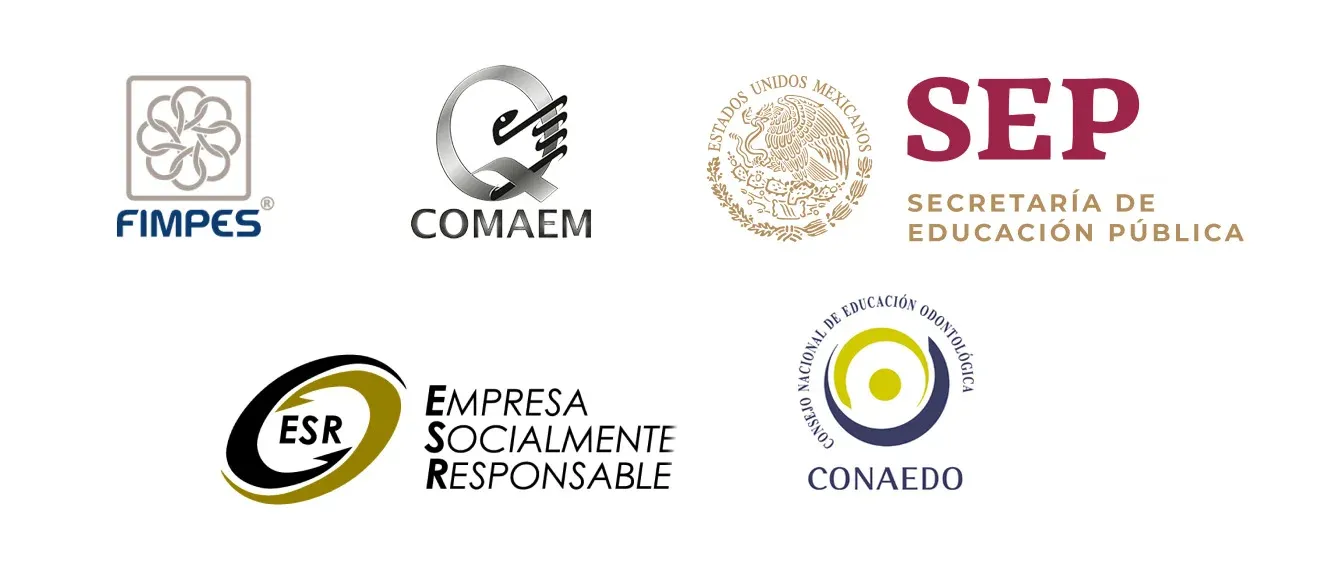 Ilustración para: Docentes que impulsan tu aprendizaje